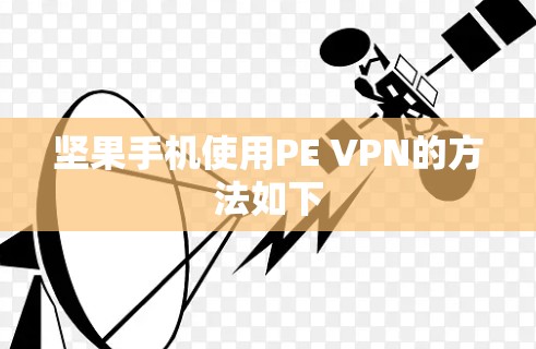 坚果手机使用PE VPN的方法如下